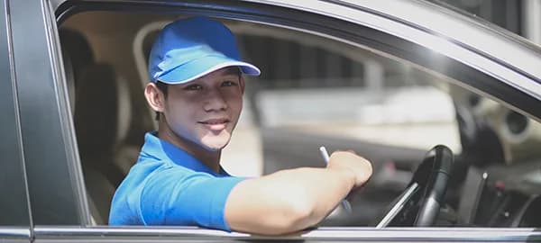 Professional Driver