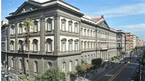 Second University of Naples (now University of Campania Luigi Vanvitelli)