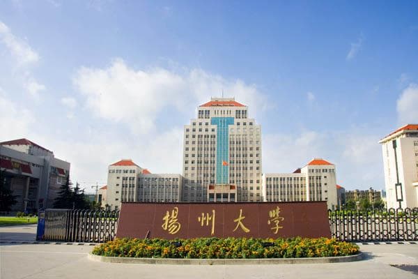 University