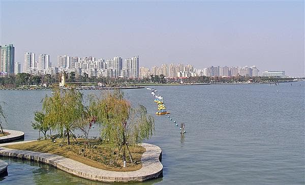 City