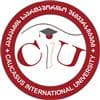 Caucasus International University