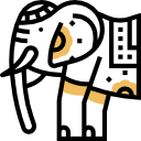 Southern Region
