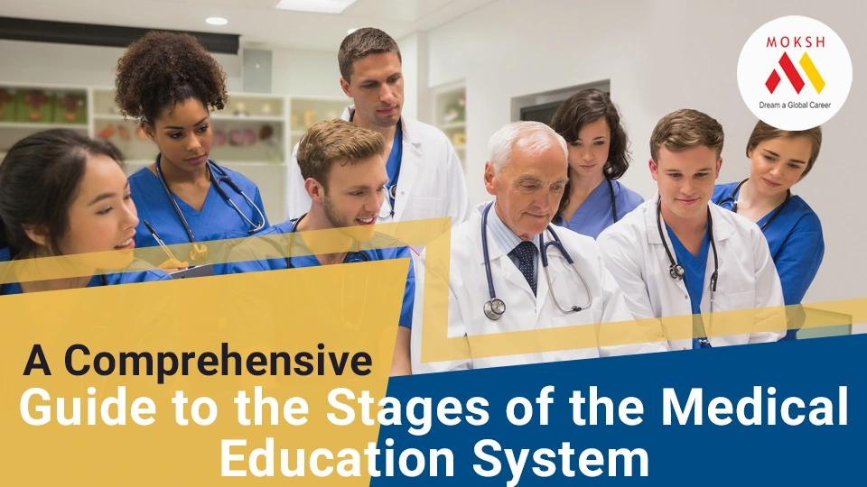 A Comprehensive Guide to the Stages of the medical education system