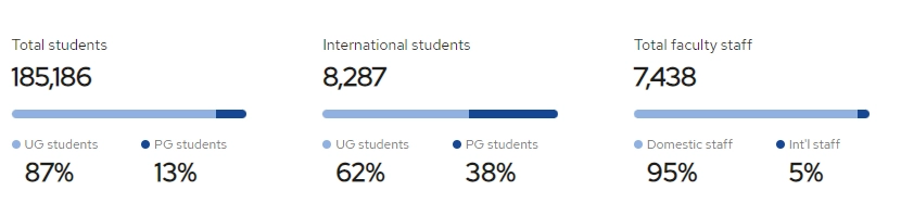 Students in Mansoura University