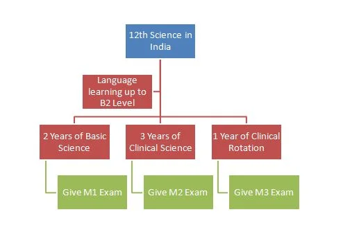 Exam Roadmap for MBBS in germany