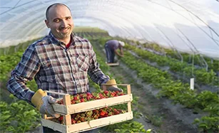 Garden, Agriculture & Nature