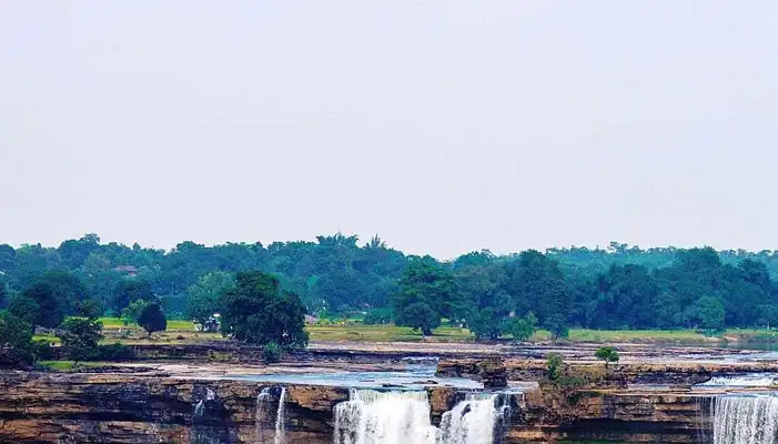 MBBS In Chhattisgarh